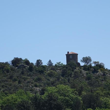 Résidence Hôtelière La Sarrazine La Garde-Freinet Esterno foto
